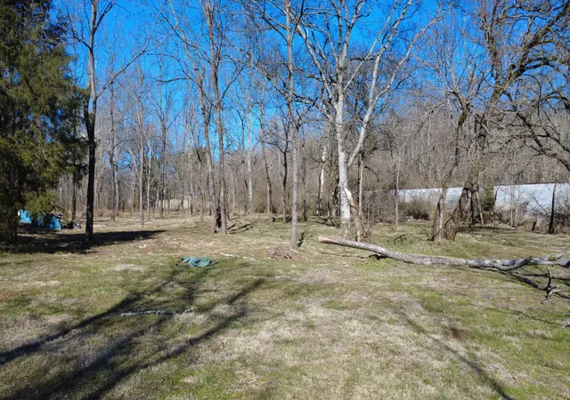 2nd image of 0 Carters Creek Pike, Columbia, TN 38401 | MLS# 3128525