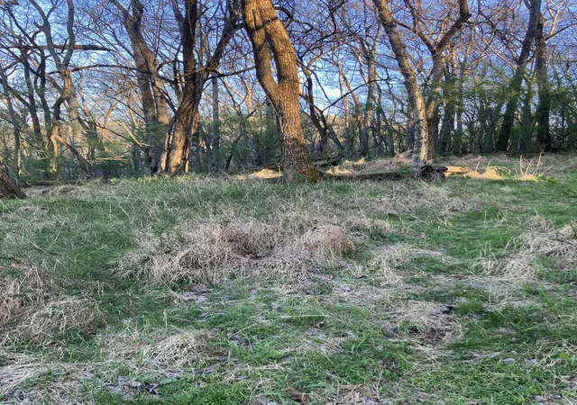 31st image of 0 North Third Street, Pulaski, TN 38478 | MLS# 3118978