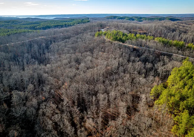 Photo 3 of Land for sale at 0 Richland Harbor Rd, Waverly, TN 37185 | MLS# 3118968 | Listing updated on 2026-08-07