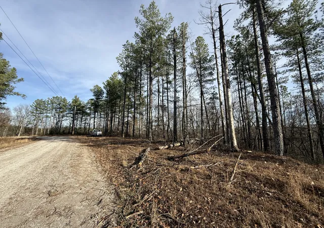 Photo 3 of Land for sale at 0 Richland Harbor Rd, Waverly, TN 37185 | MLS# 3118968 | Listing updated on 2026-08-07