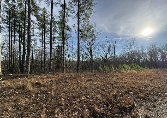 Photo 4 of Land for sale at 0 Richland Harbor Rd, Waverly, TN 37185 | MLS# 3118968 | Listing updated on 2026-08-07