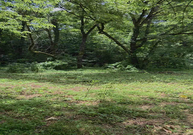 2nd image of 0 Rock Springs Rd, Ethridge, TN 38456 | MLS# 3129375