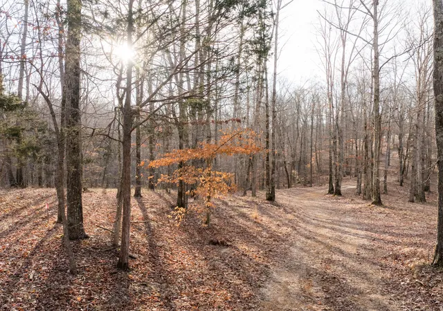 Homes for sale in Nunnelly, TN | 0 Pinewood Road, Nunnelly, TN 37137 | MLS# 3127684