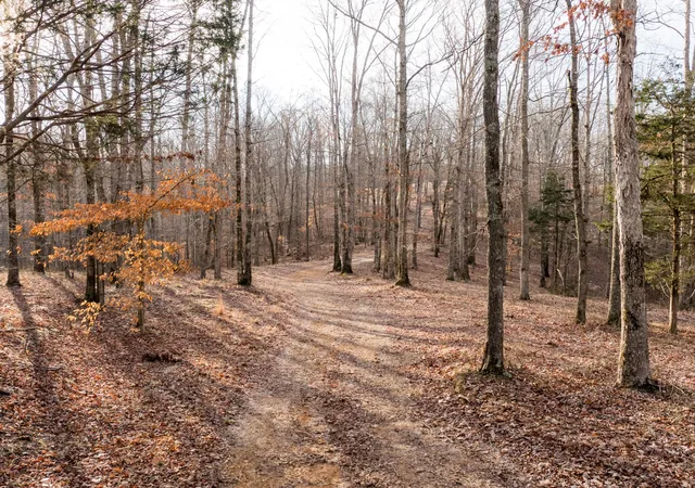 Homes for sale in Nunnelly, TN | 0 Pinewood Road, Nunnelly, TN 37137 | MLS# 3127684