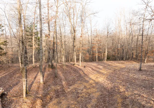 Homes for sale in Nunnelly, TN | 0 Pinewood Road, Nunnelly, TN 37137 | MLS# 3127684