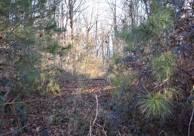Photo 2 of Land for sale at 1 Eldridge Ln Sw, Cleveland, TN 37311 | MLS# 3119395 | Listing updated on 2026-08-13