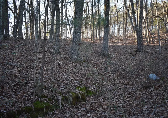 Photo 3 of Land for sale at 1 Eldridge Ln SW, Cleveland, TN 37311 | MLS# 3119395 | Listing updated on 2026-08-13