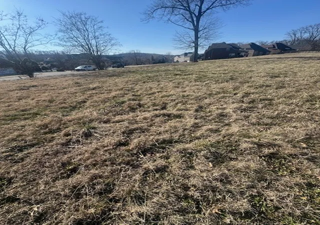 Land for sale at 0 Bonifay Dr, Smyrna, TN 37167 | MLS# 3121348