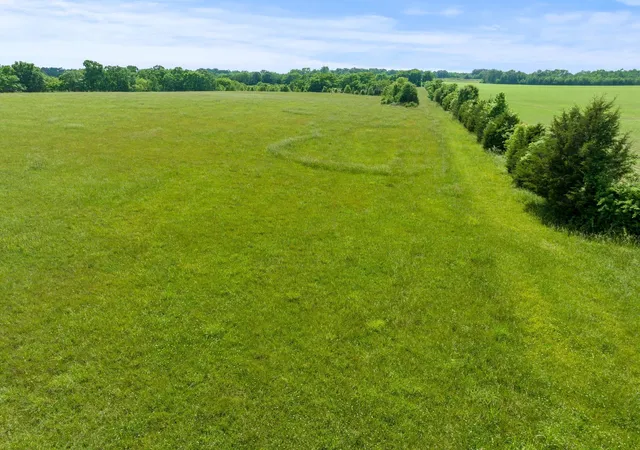 Homes for sale in Belvidere, TN | 0 Cox Ln, Belvidere, TN 37306 | MLS# 3123290