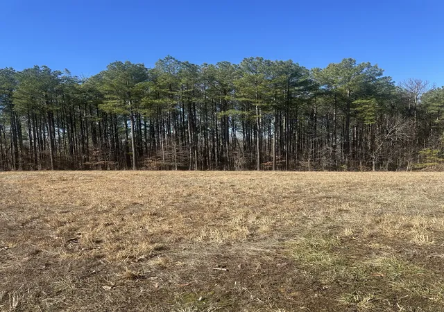 Photo 1 of Land for sale at 1970 Shores Trl, Stewart, TN 37175 | MLS# 3128706 | Listing updated on 2026-10-03