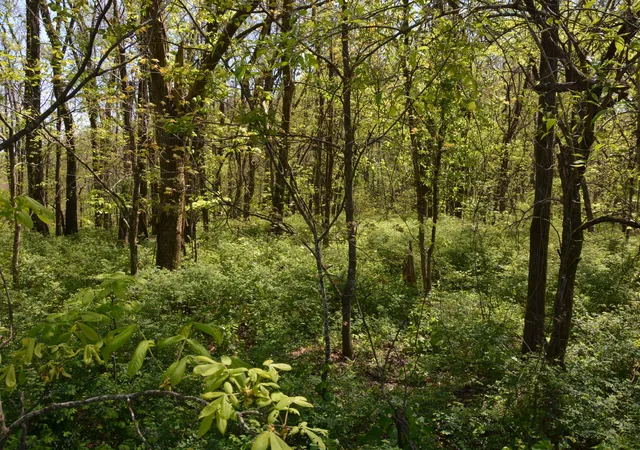 11th image of 146 Bledsoe Rd, Petersburg, TN 37144 | MLS# 3121547
