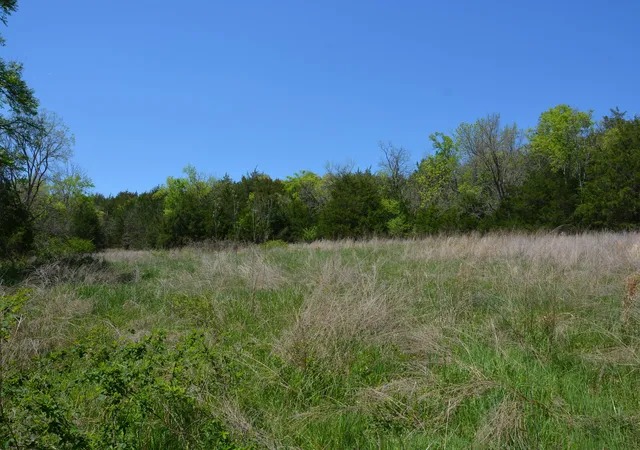 1st image of 146 Bledsoe Rd, Petersburg, TN 37144 | MLS# 3121547