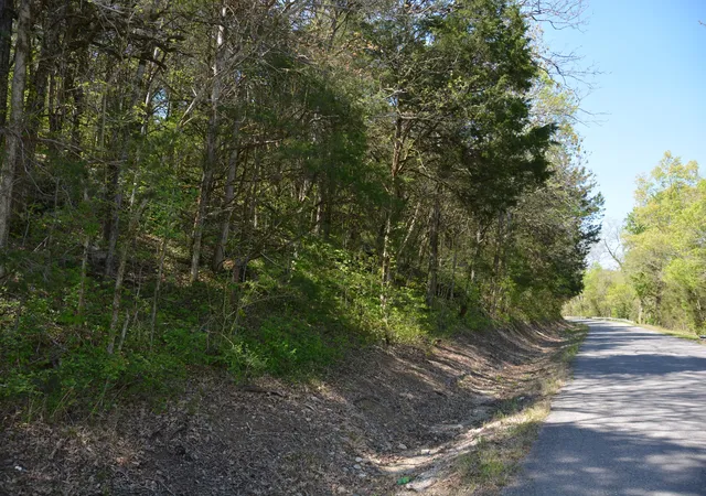 4th image of 146 Bledsoe Rd, Petersburg, TN 37144 | MLS# 3121547