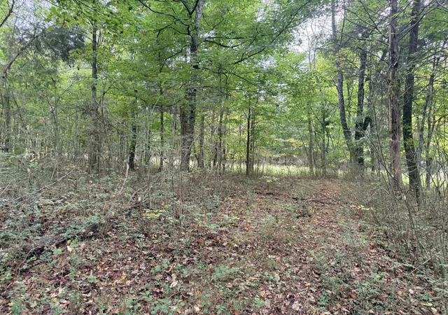 Land for sale at 0 Scott Branch Rd, Hampshire, TN 38461 | MLS# 3122352
