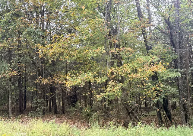 Photo 4 of House for sale at 0 Scott Branch Rd, Hampshire, TN 38461 | MLS# 3122352 | Listing updated on 2026-10-10