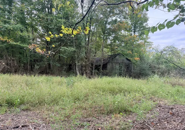 Photo 2 of Land for sale at 0 Scott Branch Rd, Hampshire, TN 38461 | MLS# 3122352 | Listing updated on 2026-10-10