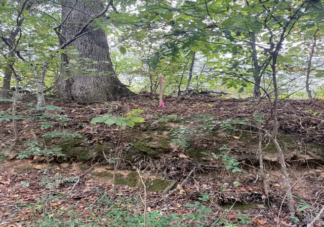Photo 3 of Land for sale at 0 Scott Branch Rd, Hampshire, TN 38461 | MLS# 3122352 | Listing updated on 2026-10-10