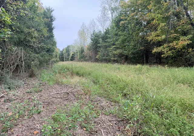 Photo 3 of House for sale at 0 Scott Branch Rd, Hampshire, TN 38461 | MLS# 3122352 | Listing updated on 2026-10-10