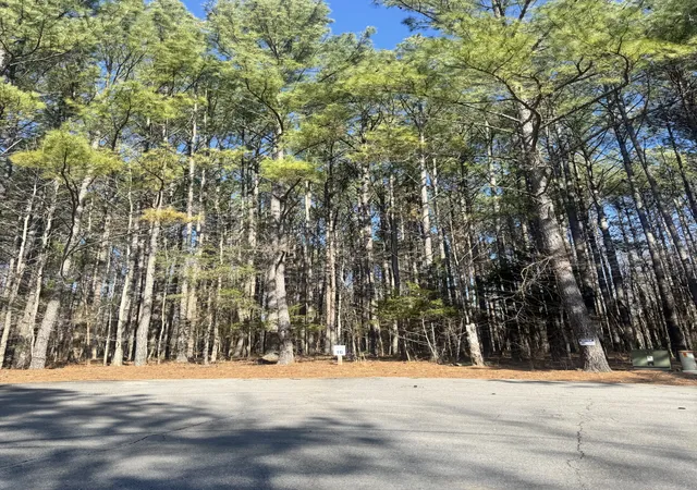 Photo 4 of Land for sale at 0 Allen Bnd Rd, Smithville, TN 37166 | MLS# 3124570 | Listing updated on 2026-08-03