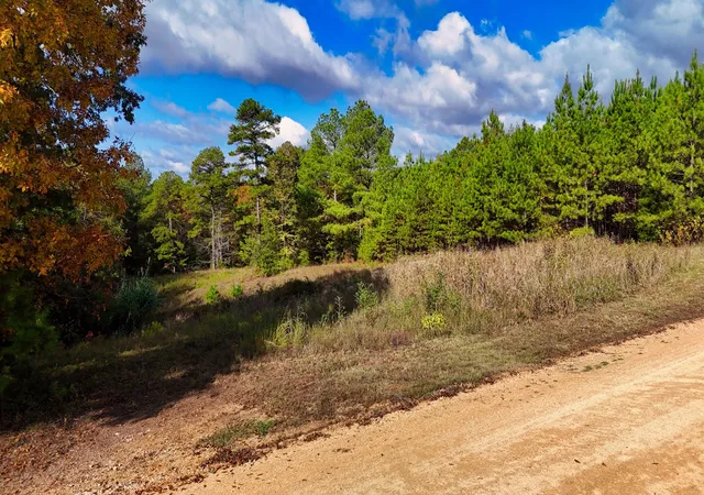 Homes for sale in Bath Springs, TN | 619 Bridge View Cv, Bath Springs, TN 38311 | MLS# 3121638