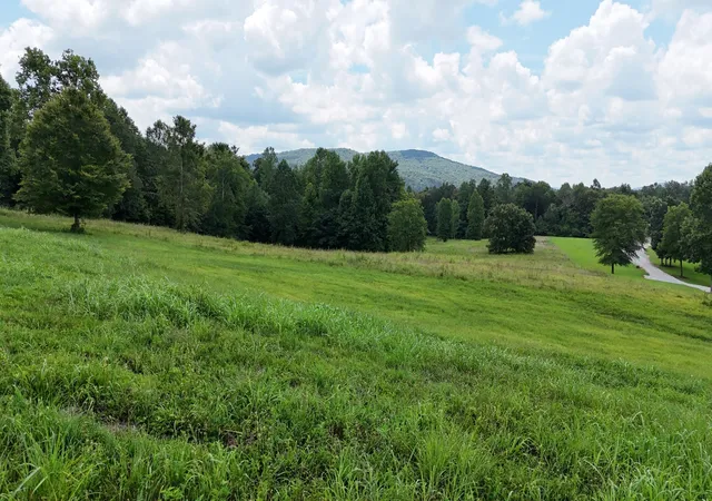 2nd image of 0 Collins Run, Mc Minnville, TN 37110 | MLS# 3121769