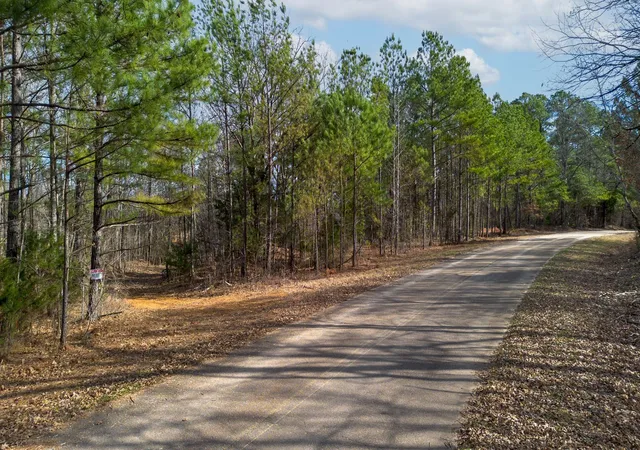 Photo 1 of Land for sale at 1 Olde Tennessee Trail, Springville, TN 38256 | MLS# 3122065 | Listing updated on 2026-09-14
