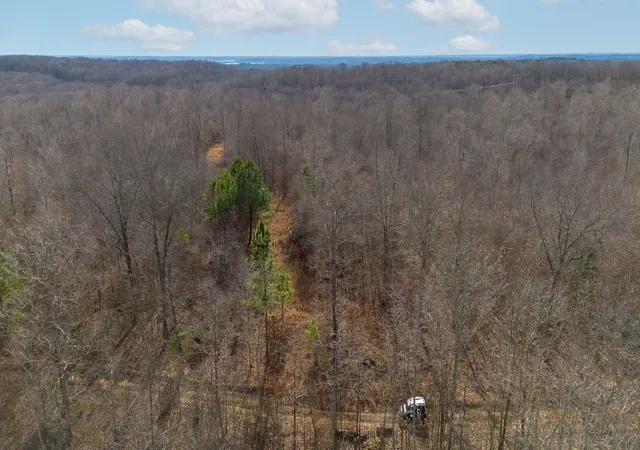 Photo 2 of Land for sale at 1 Olde Tennessee Trail, Springville, TN 38256 | MLS# 3122065 | Listing updated on 2026-09-14