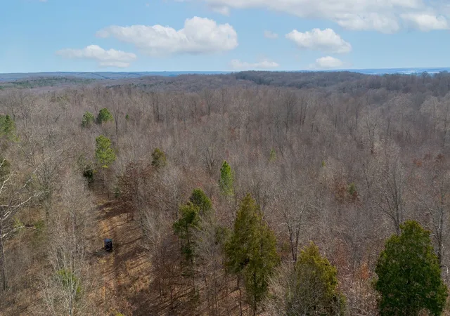 Photo 3 of Land for sale at 1 Olde Tennessee Trail, Springville, TN 38256 | MLS# 3122065 | Listing updated on 2026-09-14