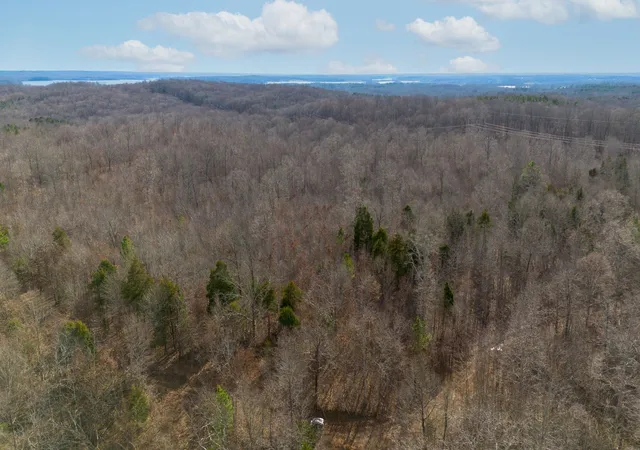 Photo 3 of Land for sale at 1 Olde Tennessee Trail, Springville, TN 38256 | MLS# 3122065 | Listing updated on 2026-09-14