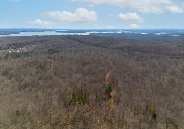 Photo 4 of Land for sale at 2 Olde Tennessee Trl, Springville, TN 38256 | MLS# 3122071 | Listing updated on 2026-09-14