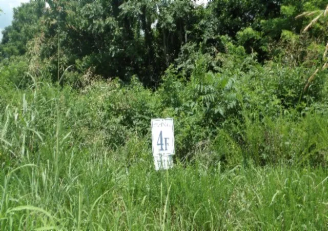 2nd image of 4 F Trout Lane, Hilham, TN 38568 | MLS# 3122317