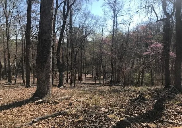 Photo 1 of Land for sale at 10556 Dayton Pike, Soddy Daisy, TN 37379 | MLS# 3186043 | Listing updated on 2026-08-19