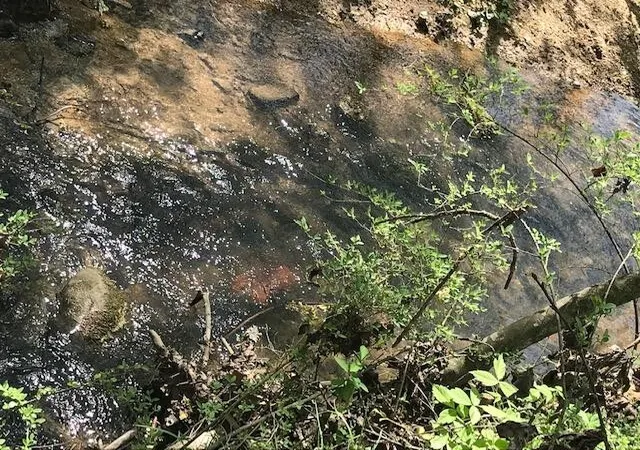 Photo 3 of Land for sale at 10556 Dayton Pike, Soddy Daisy, TN 37379 | MLS# 3186043 | Listing updated on 2026-08-19
