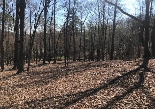 Photo 4 of Land for sale at 10556 Dayton Pike, Soddy Daisy, TN 37379 | MLS# 3186043 | Listing updated on 2026-08-19