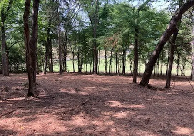 Photo 4 of Land for sale at 3076 Carters Crk Pk, Franklin, TN 37064 | MLS# 3122486 | Listing updated on 2026-10-01