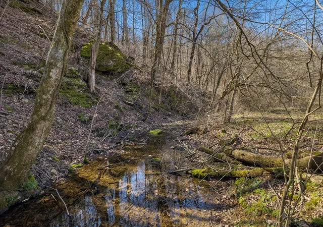 Photo 1 of Land for sale at 4 Enterprise Rd, Mount Pleasant, TN 38474 | MLS# 3122584 | Listing updated on 2026-10-01