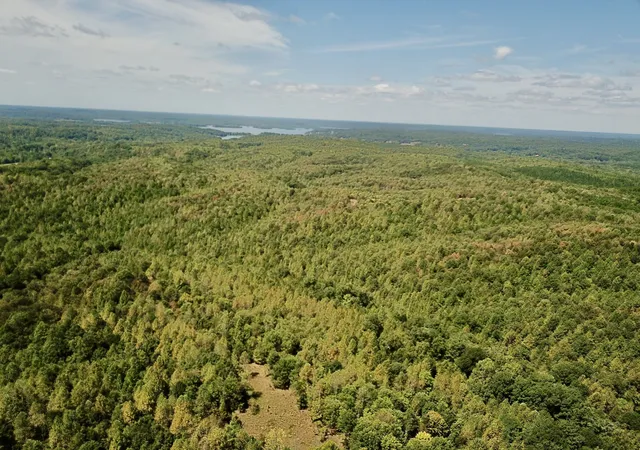 Photo 3 of Land for sale at 0 Richland Ridge Rd, Waverly, TN 37185 | MLS# 3122596 | Listing updated on 2026-07-03