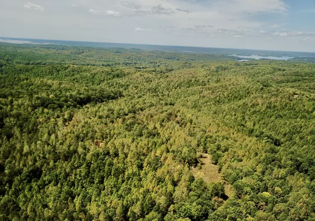 Photo 3 of Land for sale at 0 Richland Ridge Rd, Waverly, TN 37185 | MLS# 3122596 | Listing updated on 2026-07-03