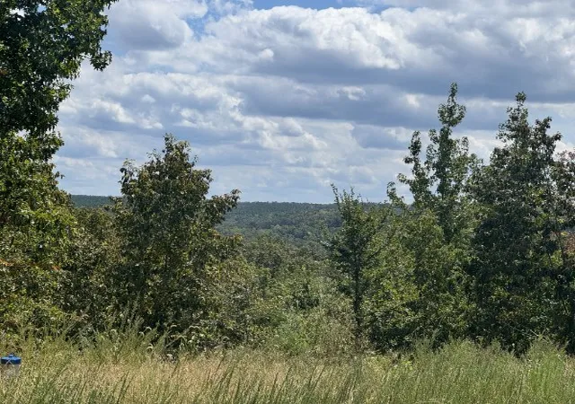Photo 1 of Land for sale at 0 Richland Ridge Rd, Waverly, TN 37185 | MLS# 3122596 | Listing updated on 2026-07-03