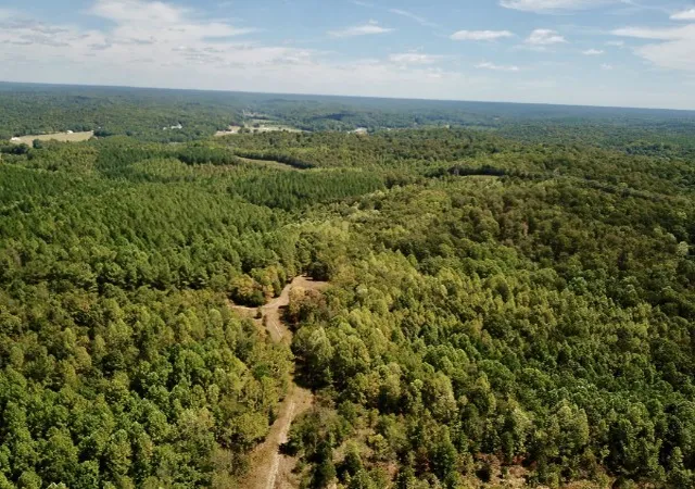 Photo 4 of Land for sale at 0 Richland Ridge Rd, Waverly, TN 37185 | MLS# 3122596 | Listing updated on 2026-07-03