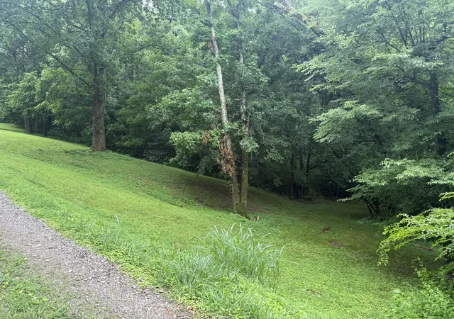 4th image of 6437 Peytonsville Arno Rd, College Grove, TN 37046 | MLS# 3244898