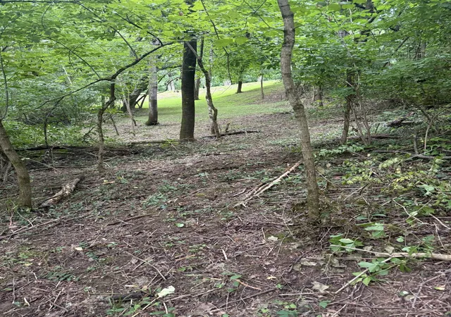 5th image of 6437 Peytonsville Arno Rd, College Grove, TN 37046 | MLS# 3244898