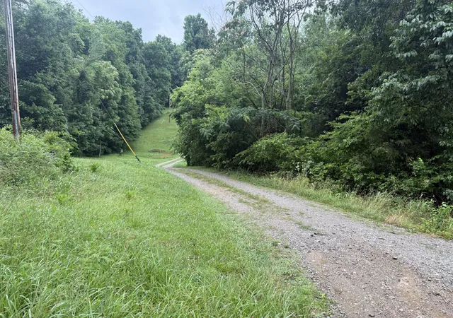 Photo 3 of Land for sale at 6437 Peytonsville Arno Rd, College Grove, TN 37046 | MLS# 3244898 | Listing updated on 2026-09-08