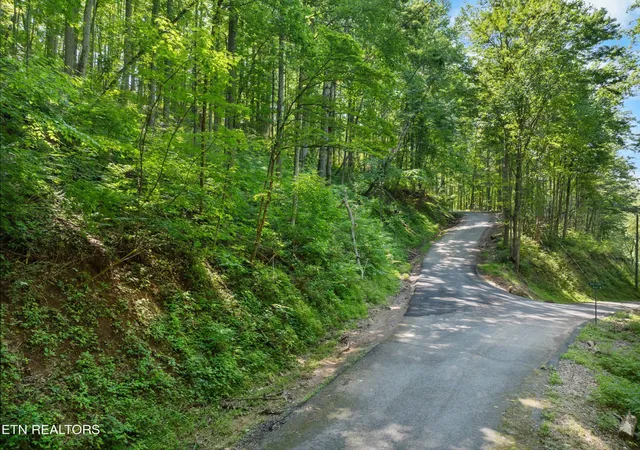 1st image of 0 Emerald Springs Loop, Sevierville, TN 37862 | MLS# 3302214