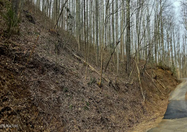 17th image of 0 Emerald Springs Loop, Sevierville, TN 37862 | MLS# 3302214