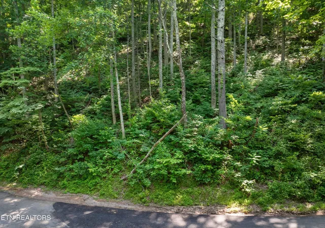 2nd image of 0 Emerald Springs Loop, Sevierville, TN 37862 | MLS# 3302214