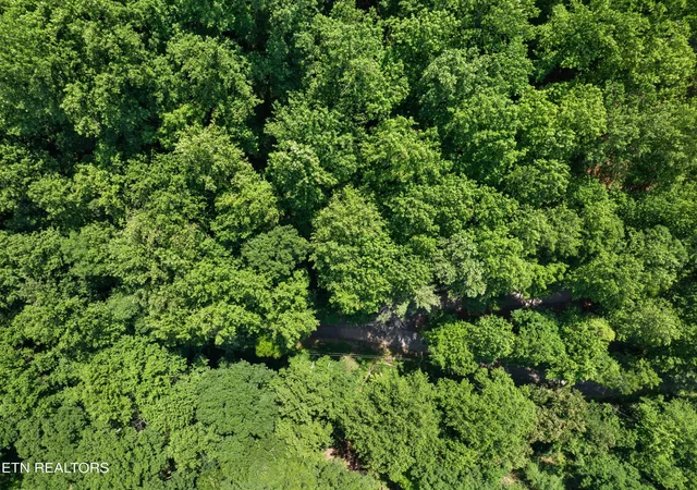 3rd image of 0 Emerald Springs Loop, Sevierville, TN 37862 | MLS# 3302214