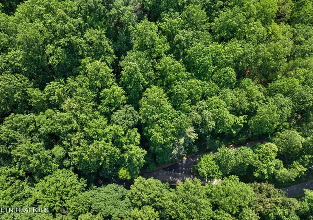 4th image of 0 Emerald Springs Loop, Sevierville, TN 37862 | MLS# 3302214