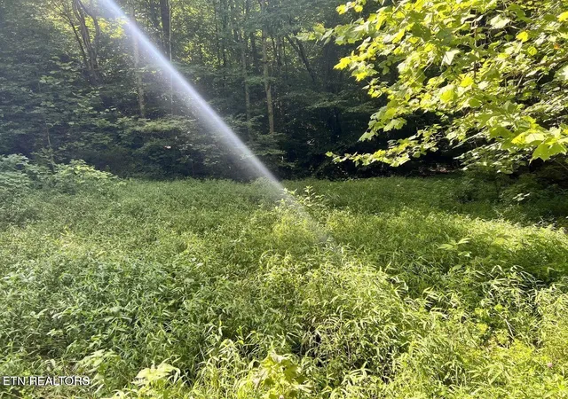 Photo 1 of Land for sale at 0 Jackson Ridge Rd, Tazewell, TN 37879 | MLS# 3306009 | Listing updated on 2026-08-03