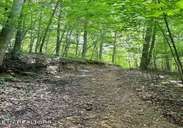 Photo 2 of Land for sale at 0 Jackson Ridge Rd, Tazewell, TN 37879 | MLS# 3306009 | Listing updated on 2026-08-03
